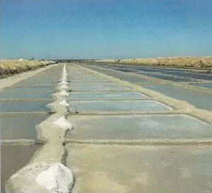 Les marais salants