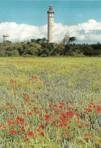 Le phare des baleines