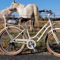Annonce 67 - photo 13