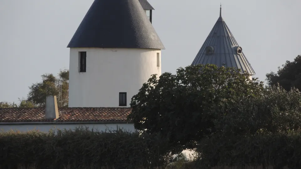 Maison 2 - photo 41