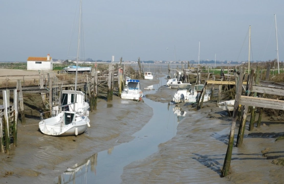 Toutes les locations à La Couarde sur mer
